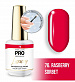 Гель-лак для ногтей MOLLON PRO LUXURY UV/LED №76 (8 мл)