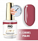 Гель-лак для ногтей MOLLON PRO LUXURY UV/LED №41 (8 мл)